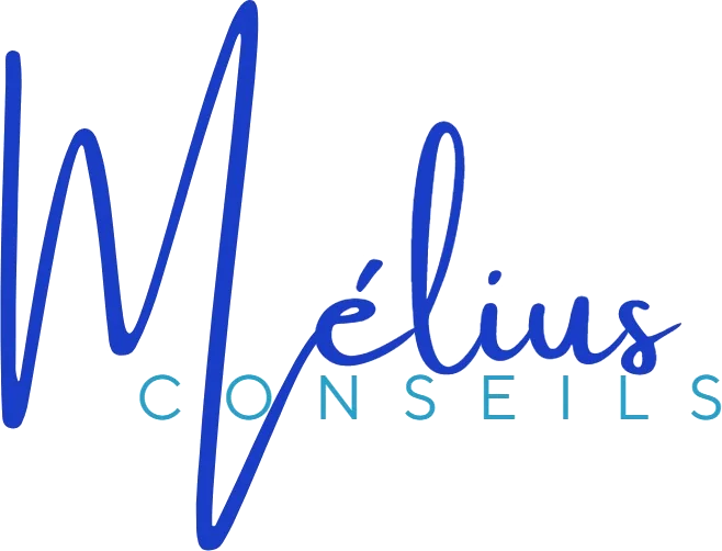 Logo Mélius Conseils
